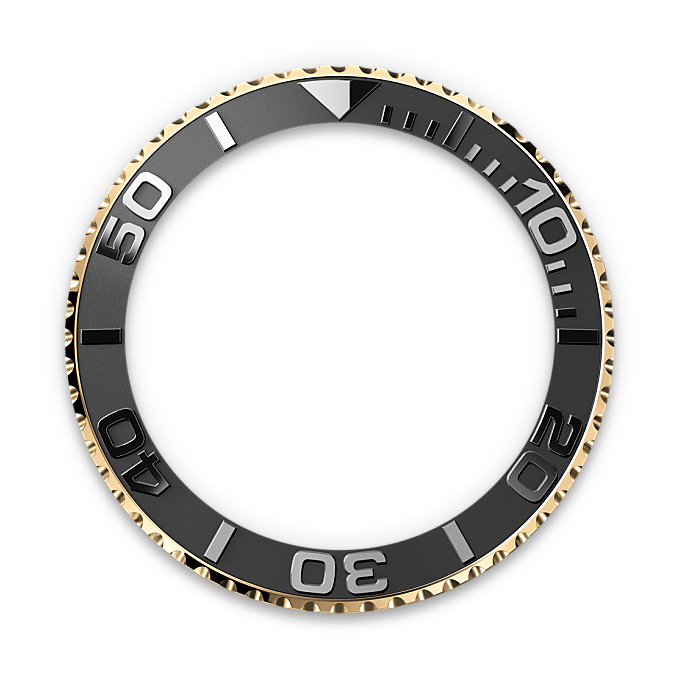Bidirectional Rotatable Bezel