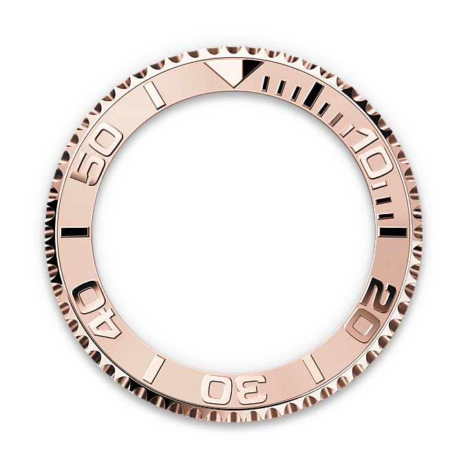 Bidirectional Rotatable Bezel